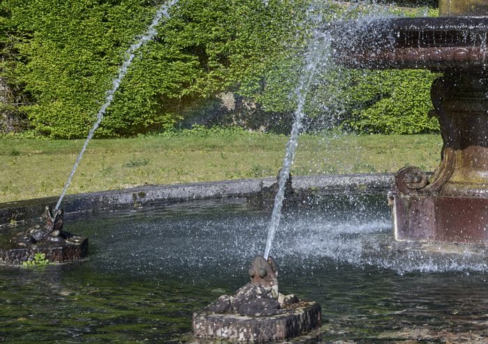 Ateliers - "Grenouilles à la Fontaine" et "Grenouilles royales"