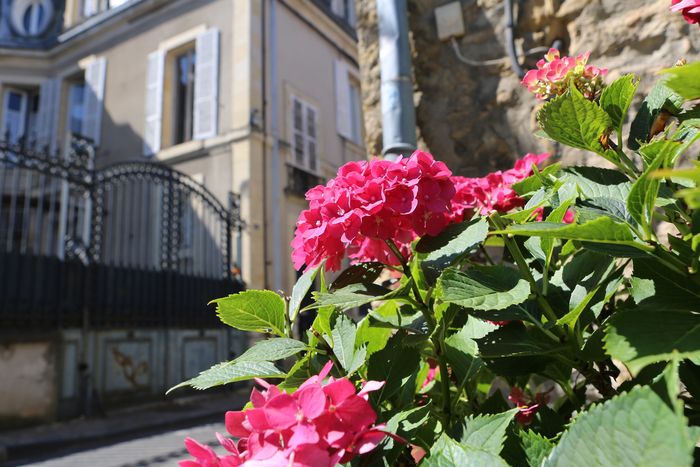 Visite guidée : Allons voir si la rose…
