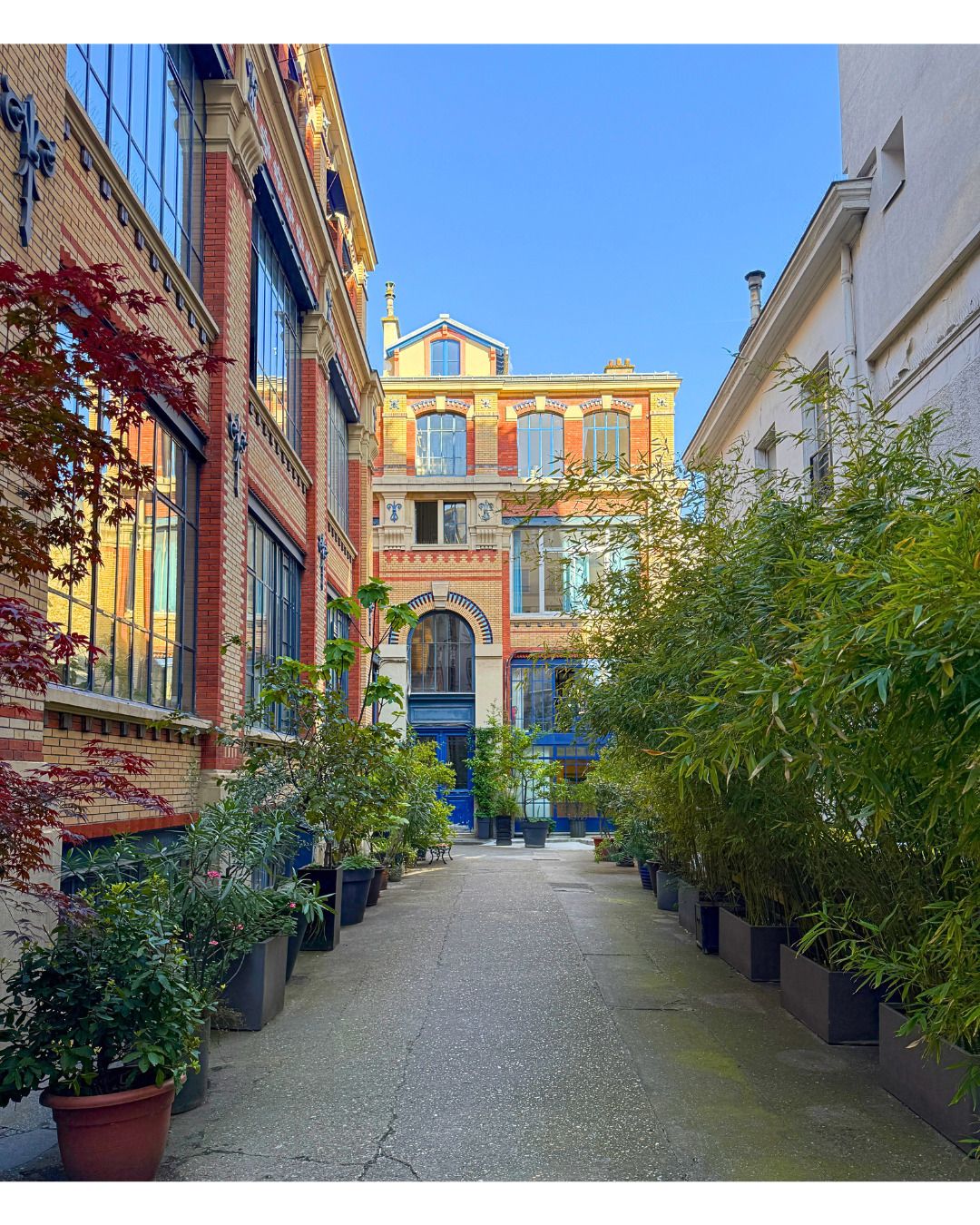 Galerie Dominique Fiat