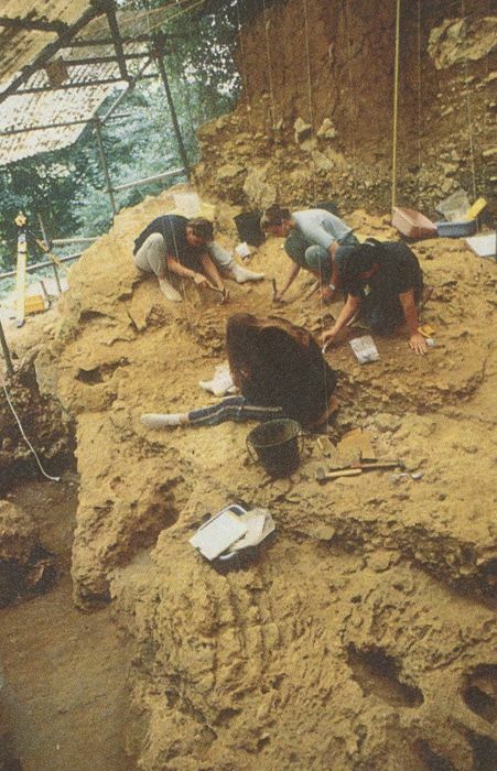 PréhistoSite de Brassempouy