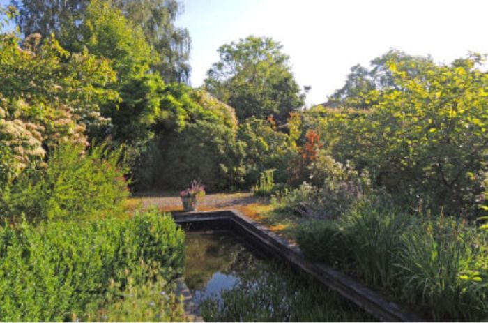 Didaktischer Rundgang durch den Garten