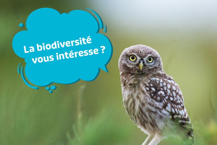 Le 21 novembre prochain, aura lieu la soirée de lancement de l'ABIC (Atlas de la Biodiversité interCommunale) à Belberaud.