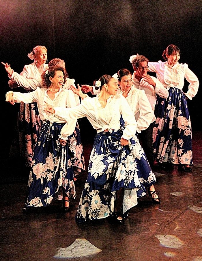 L’association Flamenco Pour Tous organise sa traditionnelle soirée solidaire « Un Olé pour eux » Les bénéfices seront reversés au Foyer de vie Henri Enguilabert de Florentin.