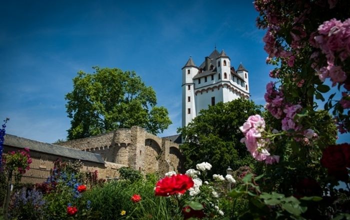 Eltville feiert "seine" üppige Rosenblüte jedes Jahr mit einem großer Garten- und Kunsthandwerkermarkt, Kulinarik und Sonderführungen mit dem Gärtner durch die Rosenanlage.