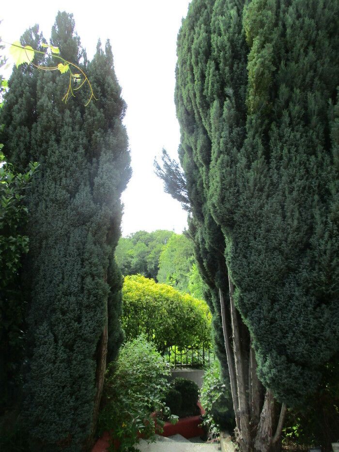 Ein Garten abseits der Meilensteine