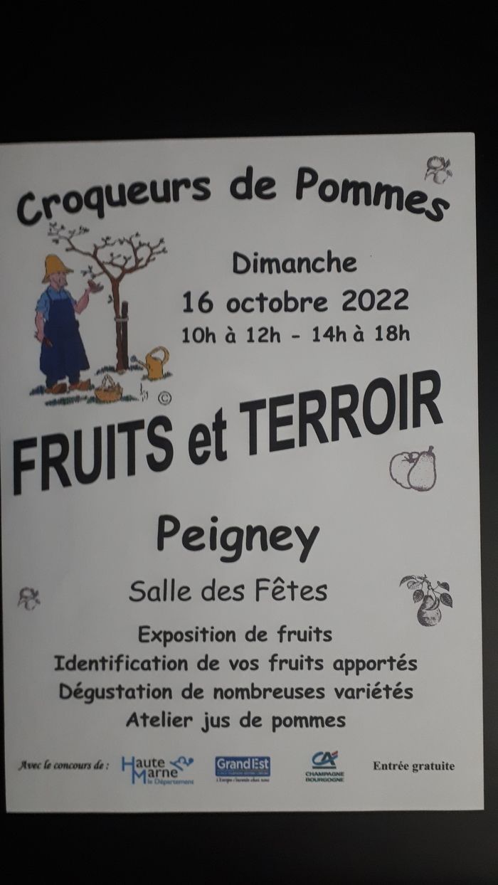 Exposition, identification et dégustation de fruits locaux