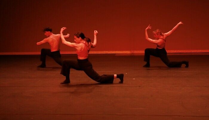 Spectacle de danse pour tout public et nouvelle création par la Cie langroise Zéo (52).