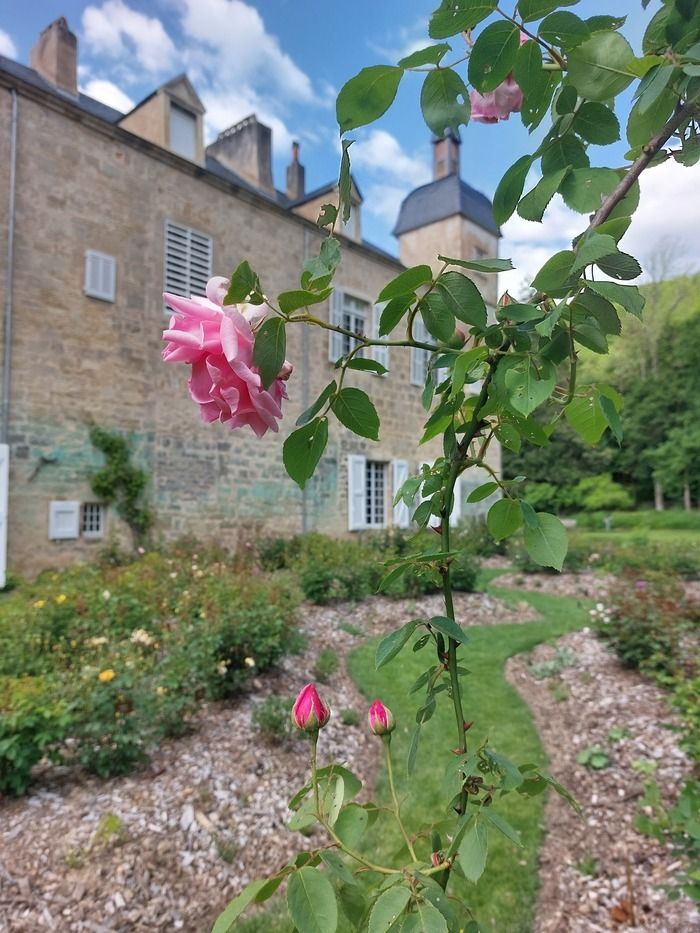 Begleiten Sie Richard, Kunstgärtner der Abtei von Beaulie-en-Rouergue, um die Rose zu entdecken. Seine Geschichte und Ursprünge werden vorgestellt, ebenso wie der Rosengarten, der vor zwei Jahren eröf