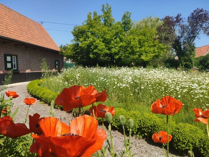 -Der Besuch beginnt mit der Entdeckung eines von Hecken umgebenen Gartens, in dem alles getan wird, um die biologische Vielfalt zu fördern. Die Plantagen bestehen aus lokalen Arten. La mare, h...