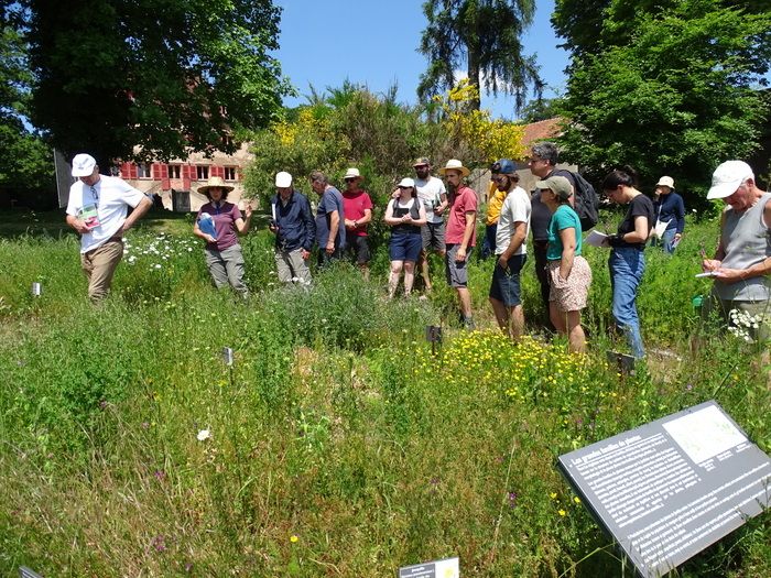 Anlässlich der Termine in den Gärten bietet der regionale Naturpark Morvan Einführungs- und Fortbildungskurse zur Pflege der Obstgärten an. In Partnerschaft mit dem Verein...