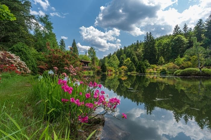 Eine Führung durch den Garten von Gondremer findet samstags und sonntagnachmittags um 16 Uhr während des Gartentreffens statt.