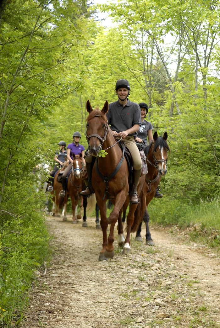 Amoureux des chevaux, de la nature et de tourisme ? Découvrez le métier d'Accompagnateur de tourisme équestre ! Partagez votre passion en faisant découvrir le patrimoine au rythme des pas des chevaux.