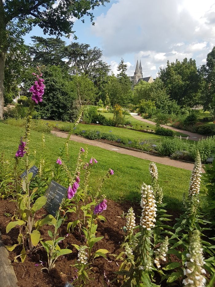 Nach einem Eintauchen in die Welt der botanischen Gärten im Empfangsgebäude, entfliehen Sie in die thematischen Pflanzensammlungen: die Allee der Pflanzen von hier, die schmackhafte Wiese, die Cro...