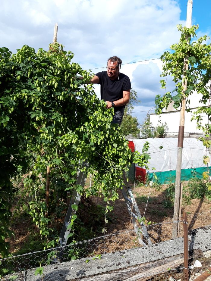 Die «fünf Sinne im Garten»? Es riecht gut, es sprudelt unter der Zunge. Mit seinem goldenen Kleid und seinen verschiedenen Aromen macht es schon Lust, ihn «buller» zu hören. Anlässlich der «Rendez-vou