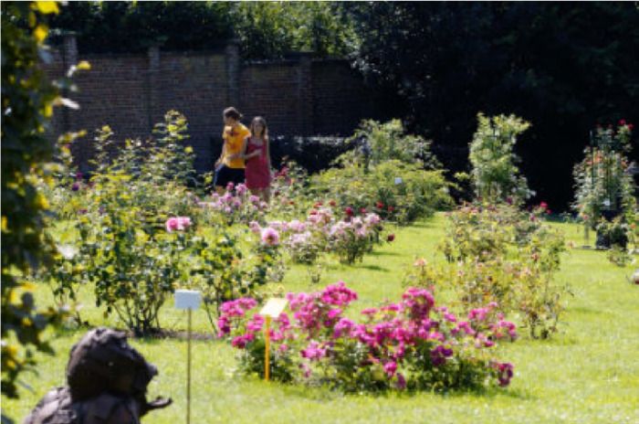 Besuchen Sie diesen neuen Rosengarten, der jedes Jahr Gegenstand internationaler Wettbewerbe ist.