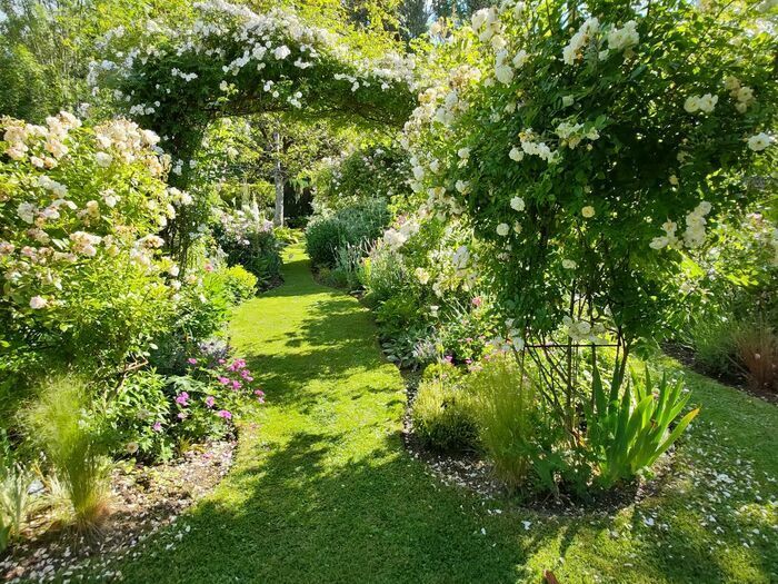 Wandern Sie frei in diesem Garten von Stauden und Rosen in einer Explosion von berauschenden Farben und Düften.