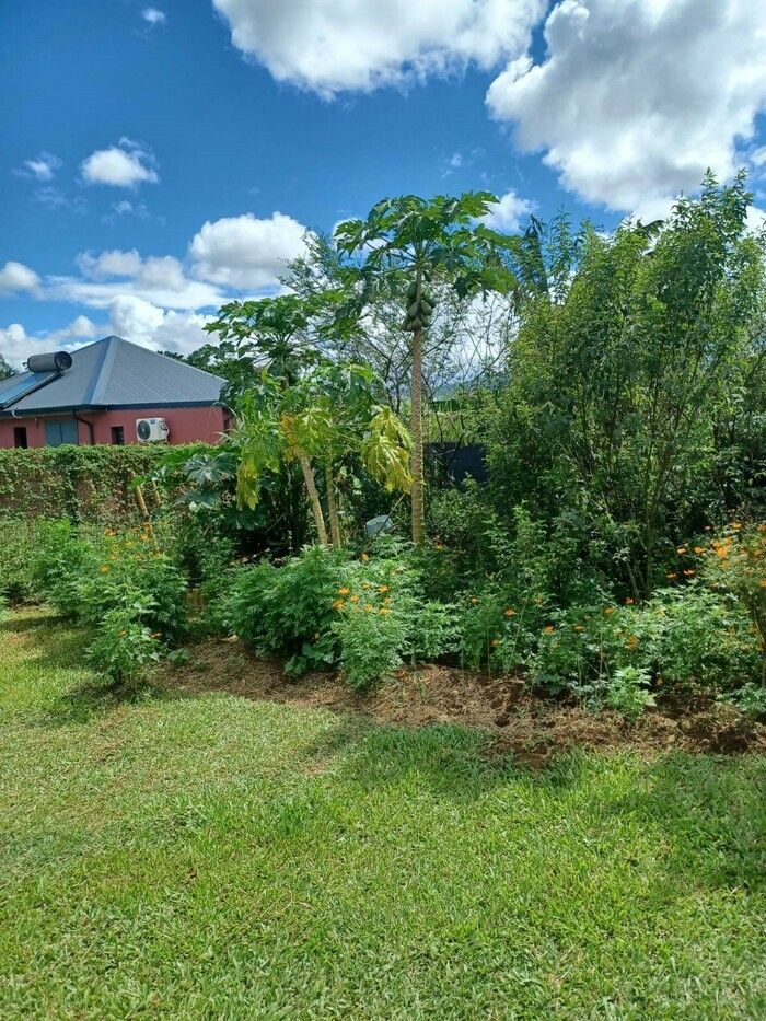 Eine Oase der Ruhe in der schönen Gemeinde Lamentin, wo verschiedene Düfte und Aromen verströmen, wo Sie einen der Reichtümer unserer Insel entdecken können.