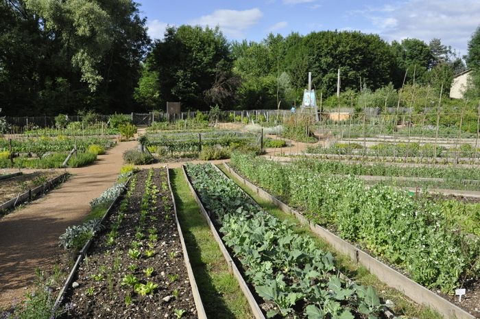 Kommentierte und kostenlose Tour durch den Gemeinschaftsgarten von Vaugelas.