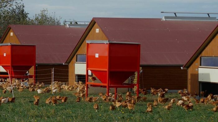 Visite de l'entreprise CABI Group, Fabricant de matériel agricole