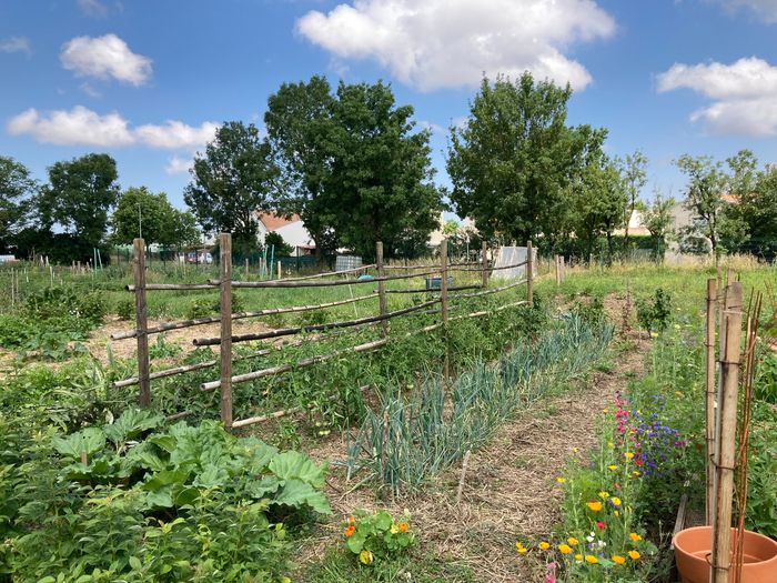 ATELIER / Cycle d’animations pratiques autour du jardinage au naturel pour découvrir les méthodes de production, partager ses expériences et progresser ensemble !