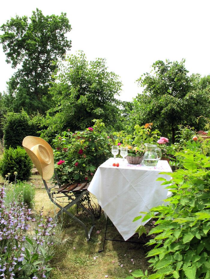 Gärtnerisches für Leib und Seele aus und im Burggarten der alten Bischofsburg. Führungen, Vorträge, Kostproben und Theater von Gartenfreunden für Gartenfreunde!