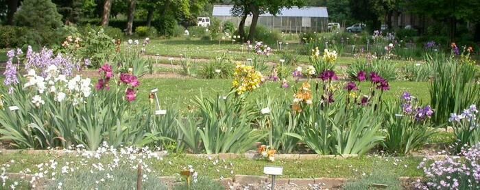 Sunday, June 2, 2024 at 16:00 there will be a special sensory visit in the Botanical Garden of Turin...blindfolded! Our guides will accompany you inside the garden and the...