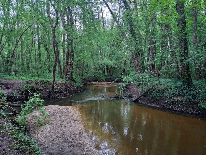 La Jalle, affluent de Garonne, est un élément majeur du paysage et de l’histoire agricole de la Rive Gauche.