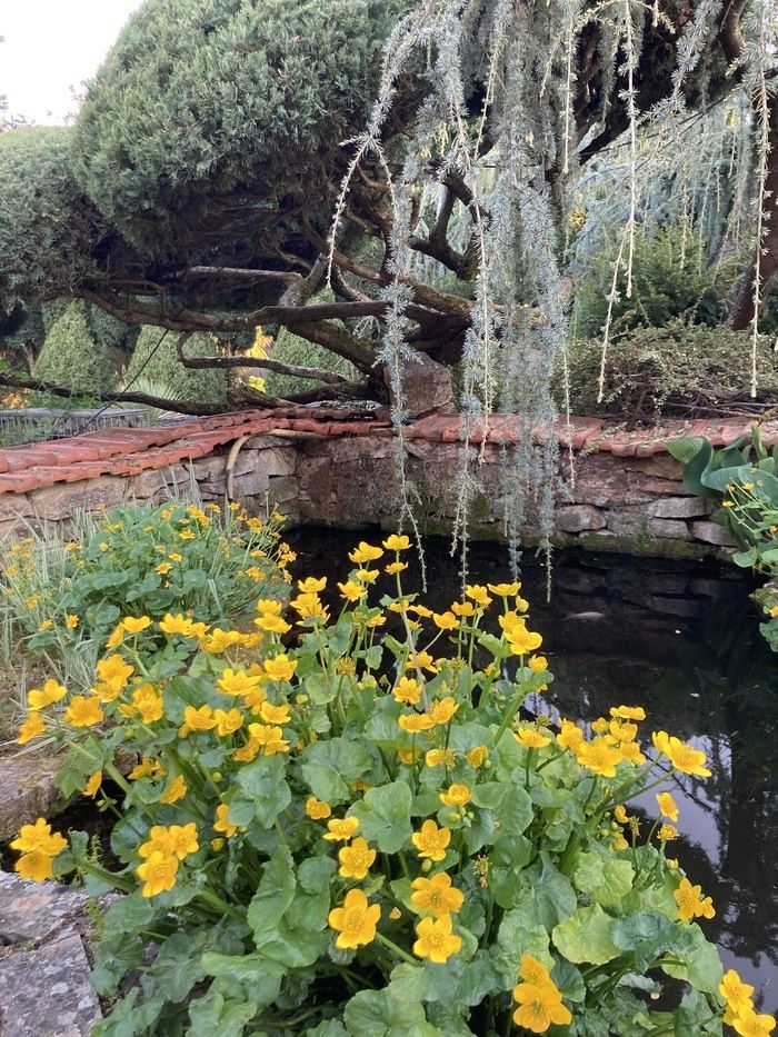 Nehmen Sie an den «Rendez-vous aux jardins 2024» teil, die verschiedene Themen im Zusammenhang mit Gärten im englischen Stil, Wasser und Strohgarten behandeln.