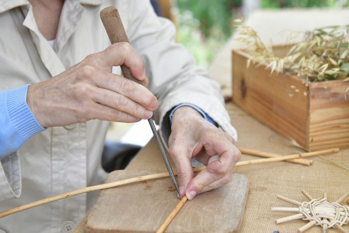 Im Zusammenhang mit dem Thema «Die fünf Sinne im Garten».