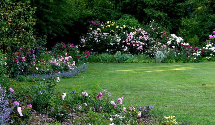 In einer Umgebung von jahrhundertealten Bäumen vereint der Garten harmonisch mehr als 700 Sorten alter und moderner Rosen und Stauden.