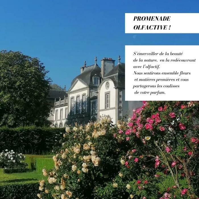 Für die Ausgabe 2024 der «Treffpunkt im Garten! » Das Maison de Parfum DIVINE und die Domaine du MONTMARIN verbinden sich und bieten olfaktorische Spaziergänge im Herzen der bemerkenswerten Gärten des