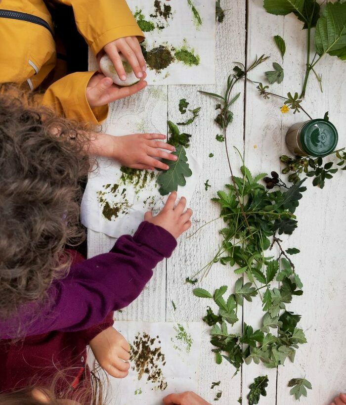 PRINTEMPS AU JARDIN - HERBIER ET EMPREINTES VEGETALES