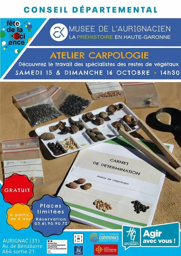 Découvrez le travail des carpologues,
    spécialistes des restes de végétaux (graines, fruits…) à l'occasion d'un atelier d'initiation à la carpologie.