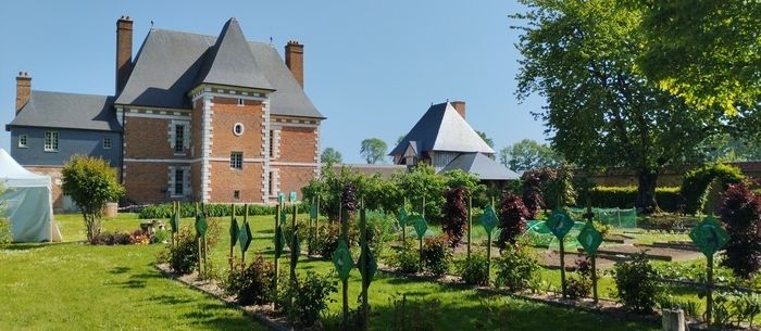 Musikworkshops und musikalische Vorführungen durch die Lehrer des Konservatoriums