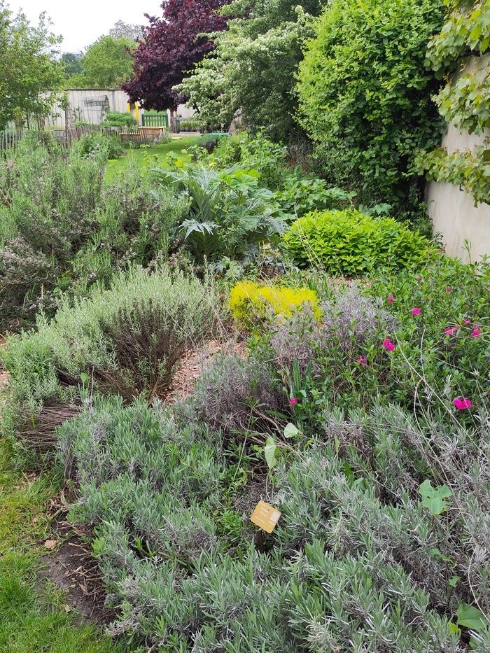 Workshop Aussaat und Steckling von aromatischen Pflanzen/Berührung