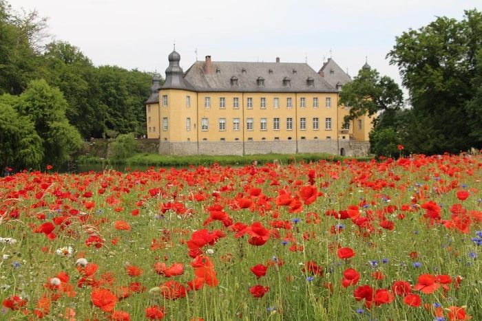 Das Gartenfestival 'Gartenlust Schloss Dyck' mit 130 ausgewählten Ausstellern, Live-Musik und Kulinarik im historischen Park von Schloss Dyck verspricht vier Tage Urlaubsflair abseits von Hektik.