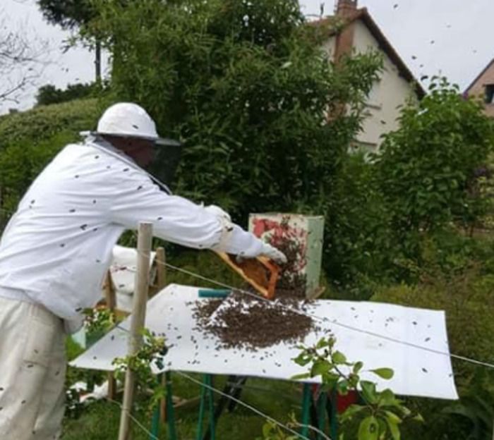 Sous réserve de bonnes conditions météorologiques, nous vous invitons à découvrir la vie des abeilles et l'apiculture lors d'une visite de notre rucher.