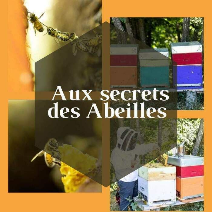 Faire découvrir aux scolaires les abeilles