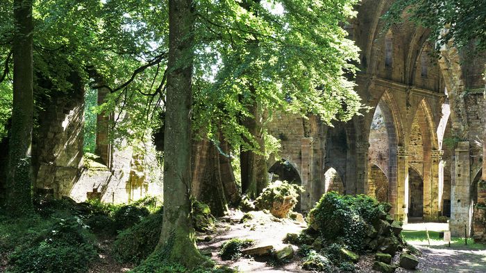 Rendez-vous aux Jardins à l’Abbaye de Trois-Fontaines le Dimanche 2 juin 2024.