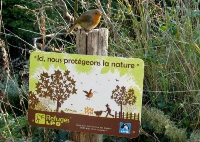 Venez découvrir les 15 gestes pour faire de votre jardin un lieu "refuge" accueillant pour la biodiversité et les oiseaux, avec la Ligue de protection des Oiseaux.