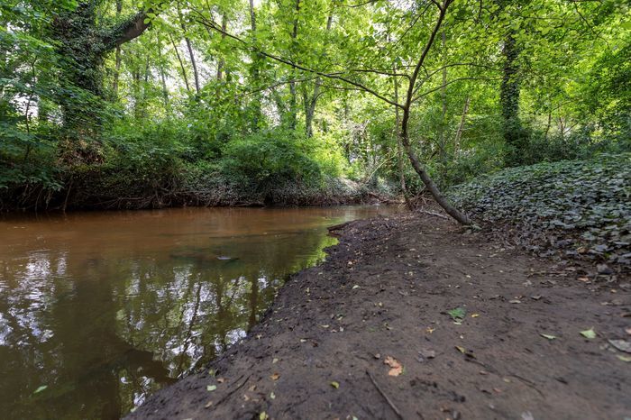 Parc des Jalles - Balade naturaliste « mammifères semi-aquatiques » animée par Cistude Nature