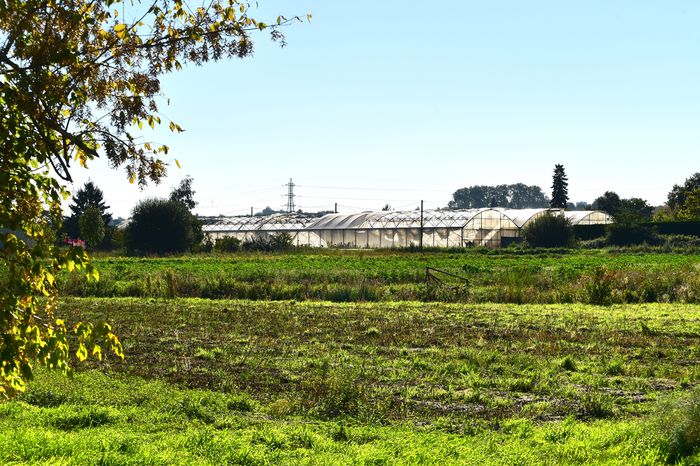 Venez découvrir le Jardin de Cyril, une exploitation maraîchère bio en compagnie de ses exploitants !