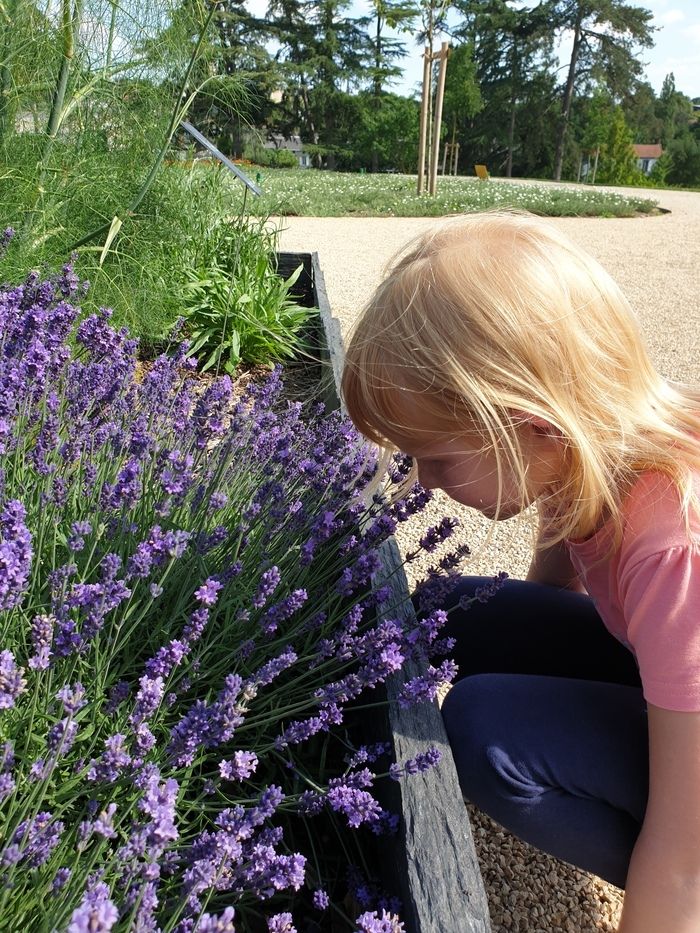 Ätherische Öle werden regelmäßig in der Medizin, Aromatherapie oder Lebensmittel verwendet. Aber wie werden sie produziert? Alle enthalten aromatische Verbindungen, die es enthält...