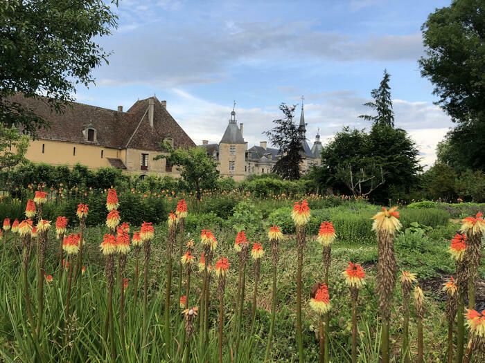 Am Samstag, den 1\. Juni 2024, stellen wir Ihnen ab 14 Uhr den Gemüsegarten von Sully Castle in Begleitung von Frau Hanley-Futter, unserem Spezialisten für Gartengeschichte und Gartenbau, vor...