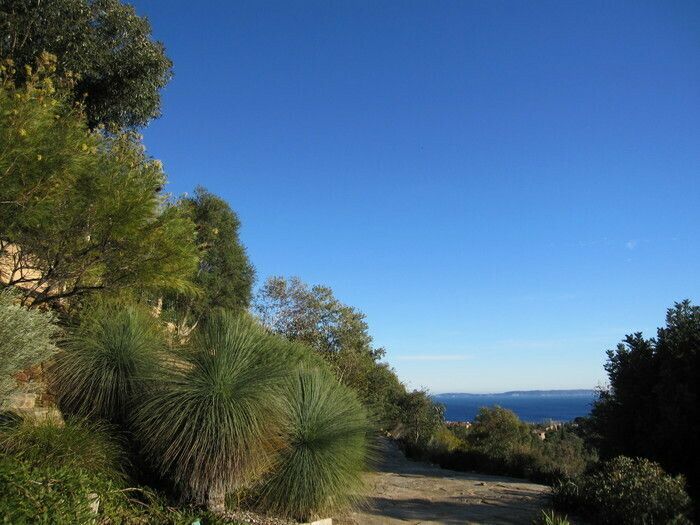 Dieser ca. 4.000 m² große Garten widmet sich ausschließlich der australischen Flora. Tatsächlich leben über 500 seltene Arten aus allen Teilen Australiens glücklich zusammen.