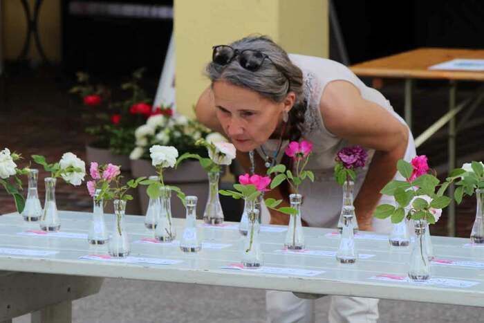 Stände und interaktive Veranstaltungen zum Thema Aromapflanzen, natürliche Parfümerie und Geruchssinn. Organisation: Aroma Atelier (Ana Ličina), Duftende Umarmungen (Martina Godnič), Miranda Natural P