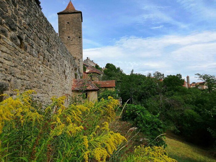 Deutschlands beliebte Mittelalterstadt Rothenburg ob der Tauber präsentiert 2024 ihre Gartenparadiese: Bewohner Rothenburgs zeigen nach Voranmeldung ihre privaten Refugien in der Altstadt..