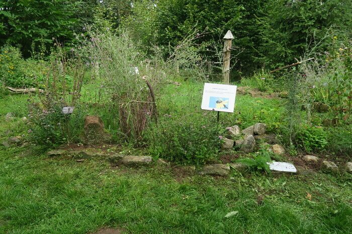 Entdecken Sie die Gedichte im Garten sowie die Pflanzen der Insekten- und Wildblumenroute...