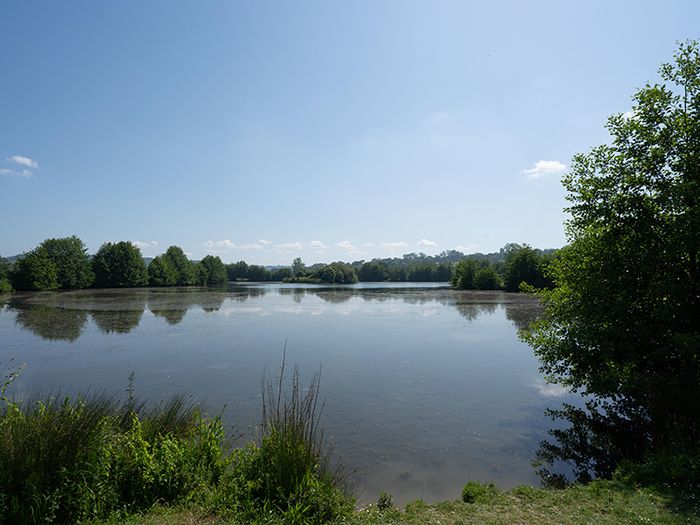 Le marais de Villers-Blonville est un endroit où passent et nichent de nombreux oiseaux familiers ou plus rares. Lancez-vous le défi de les identifier ! 
    (3km/2h) - Niveau 1