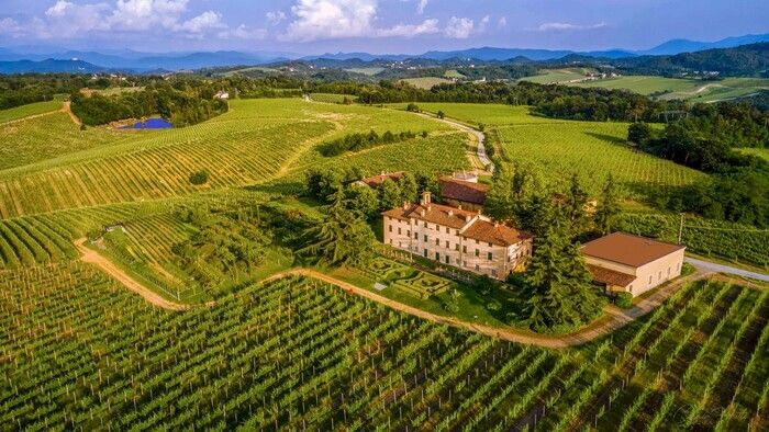 The visit of the gardens of the Marchesa begins from the terrace of the roses that dominates the expanse of the 76 hectares of the estate with the 58 hectares of the garden-vineyard that, with its lon